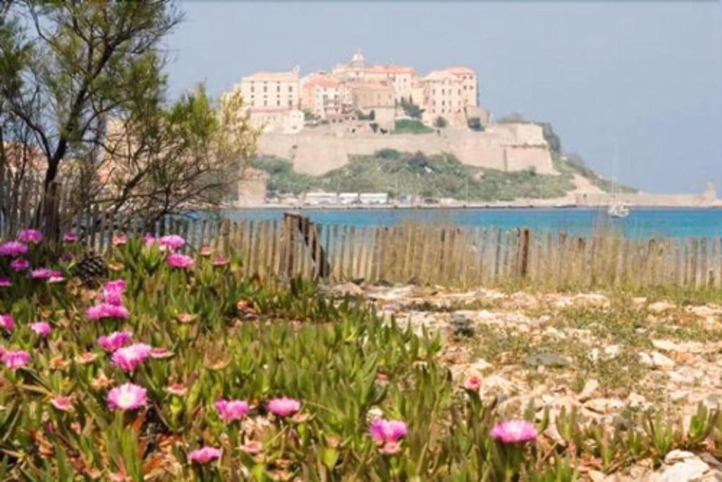 Calvi Hôtel