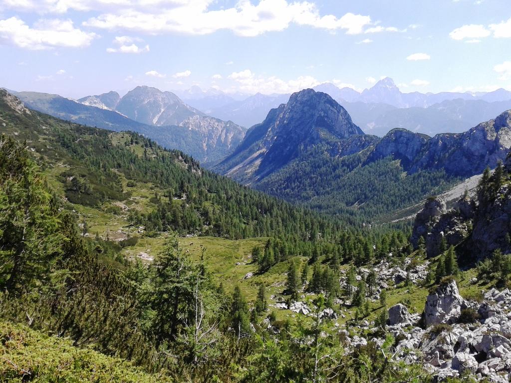 Alpenhotel Marcius
