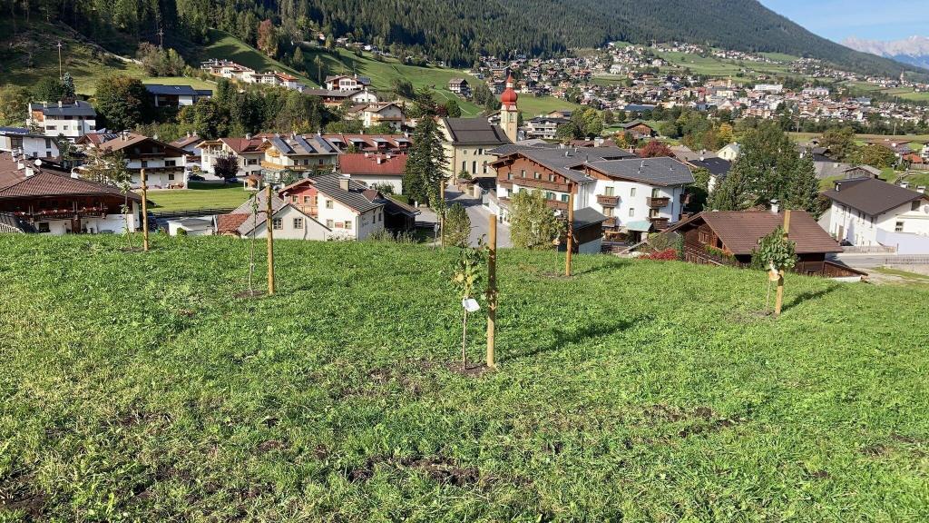 Medrazerhof