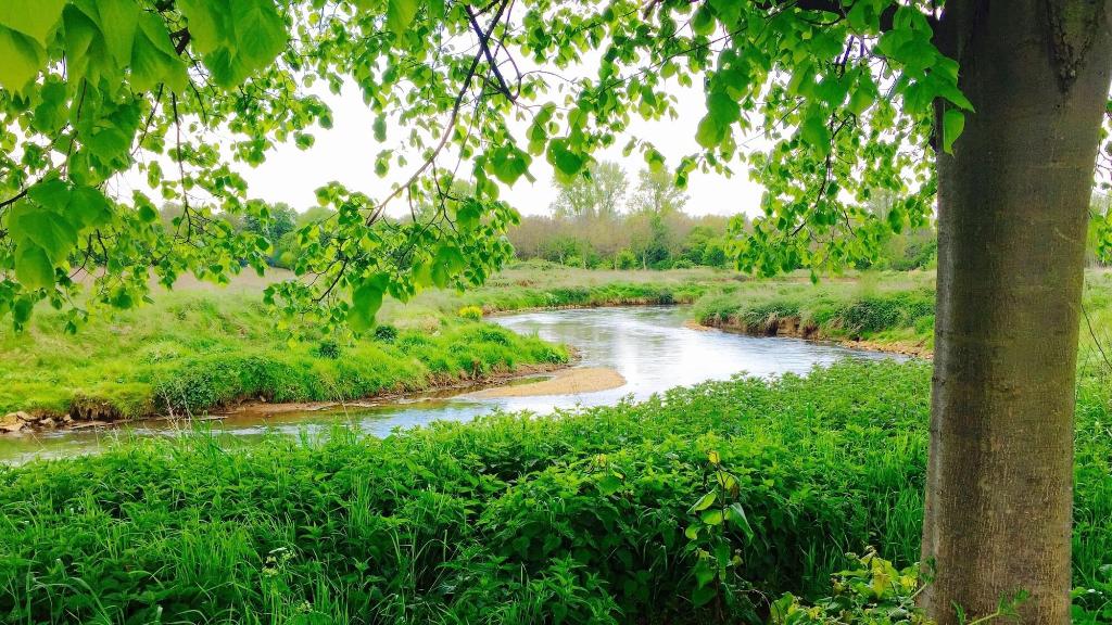 Hotel Bergheim An Der Erft