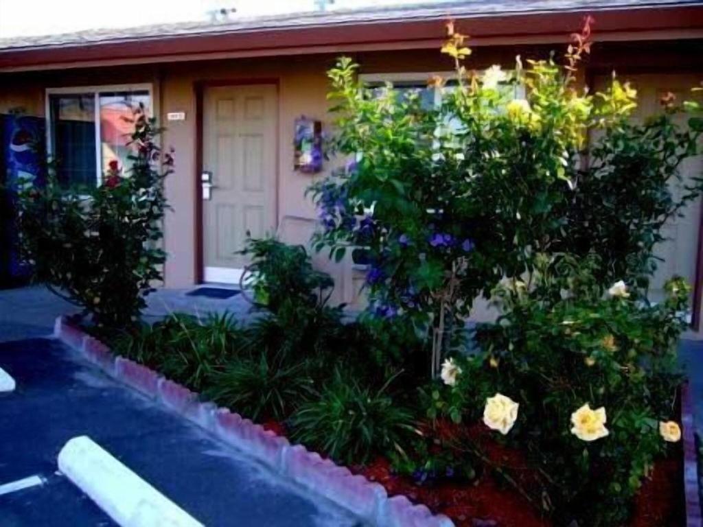 Maple Inn & Suites