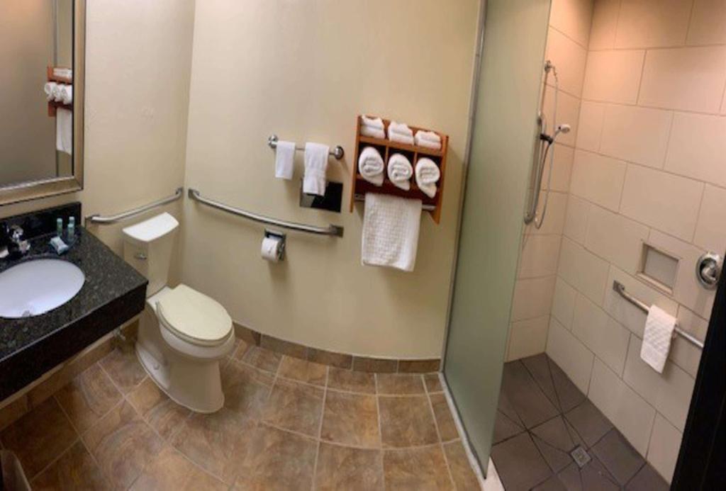 Best Western Davison Inn
