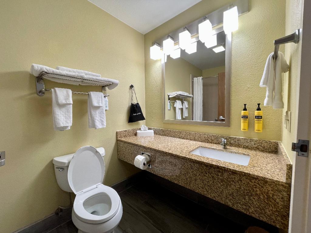 Best Western Plus Executive Hotel & Suites
