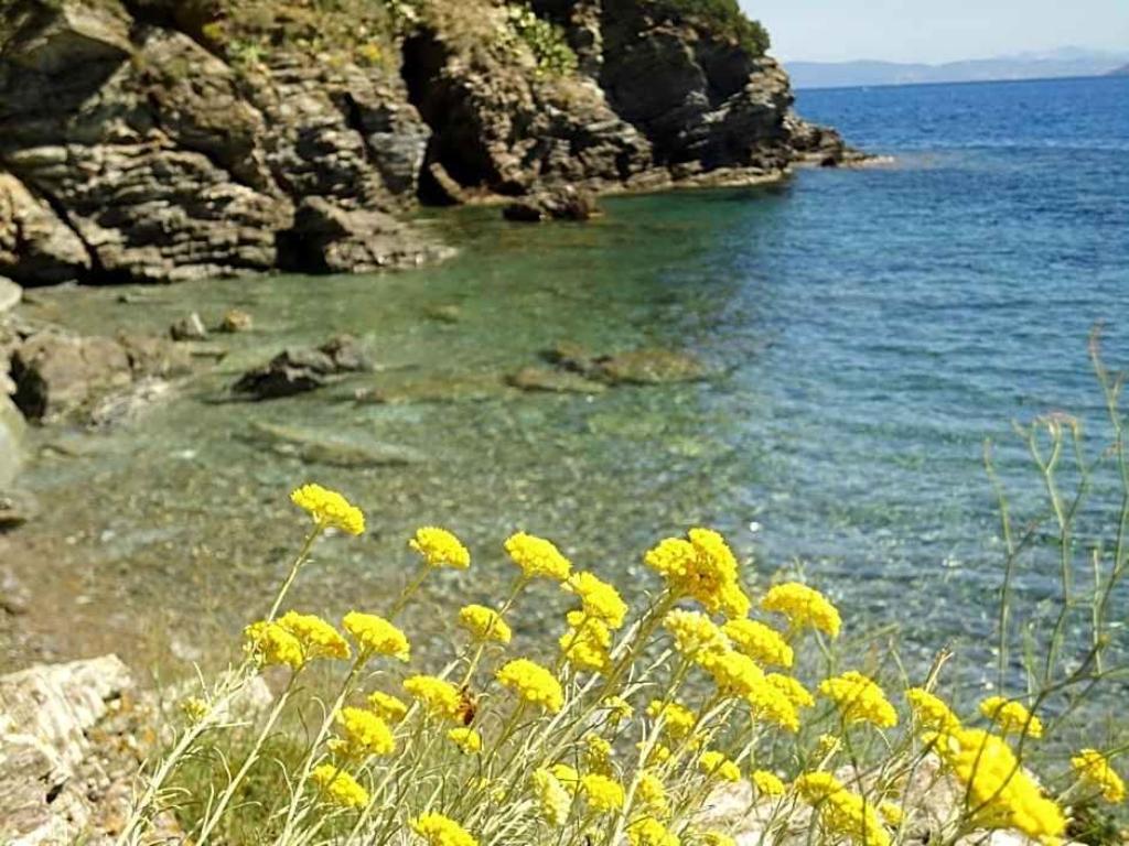 Rio sul Mare