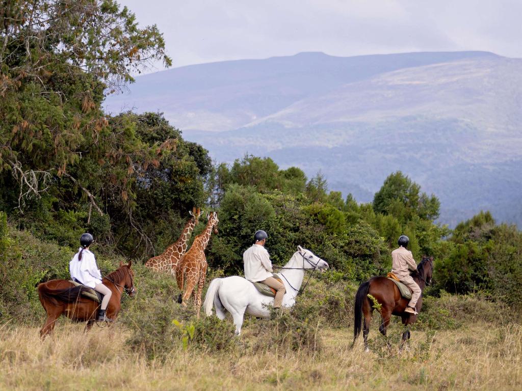 Fairmont Mount Kenya Safari Club photo 177
