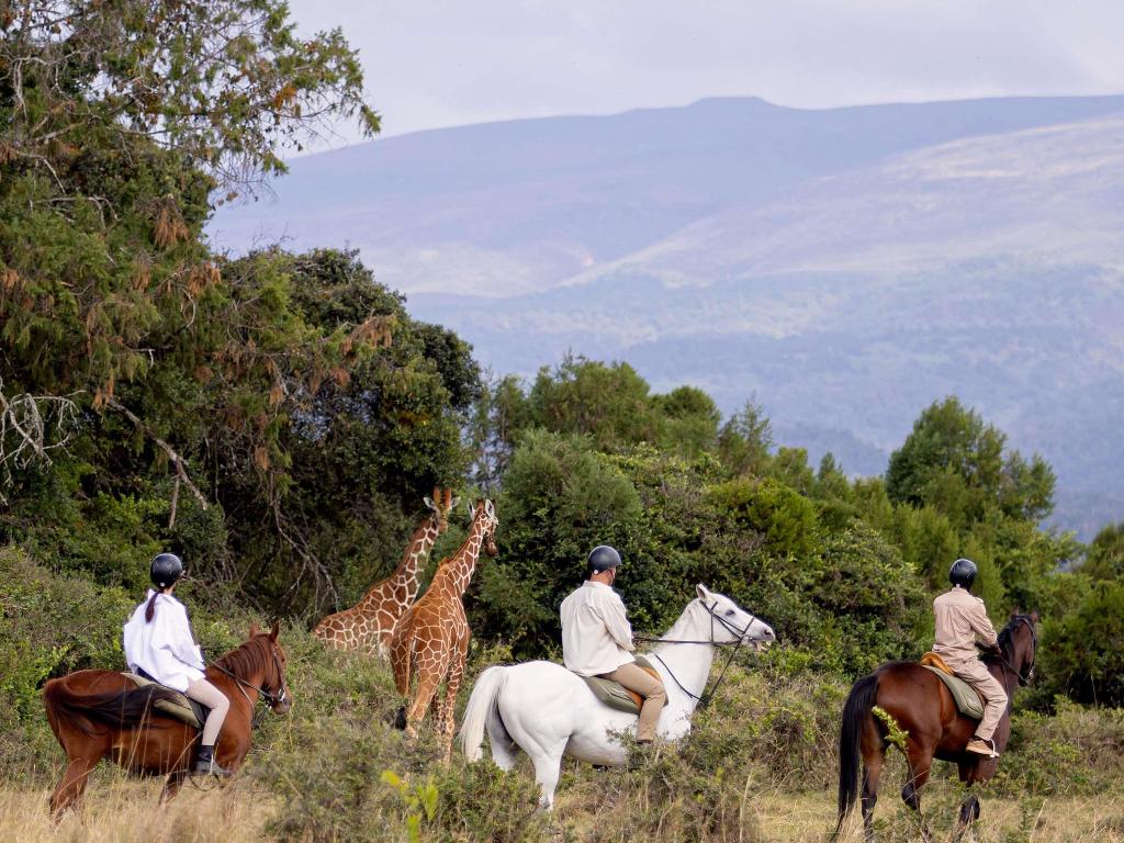 Fairmont Mount Kenya Safari Club photo 179
