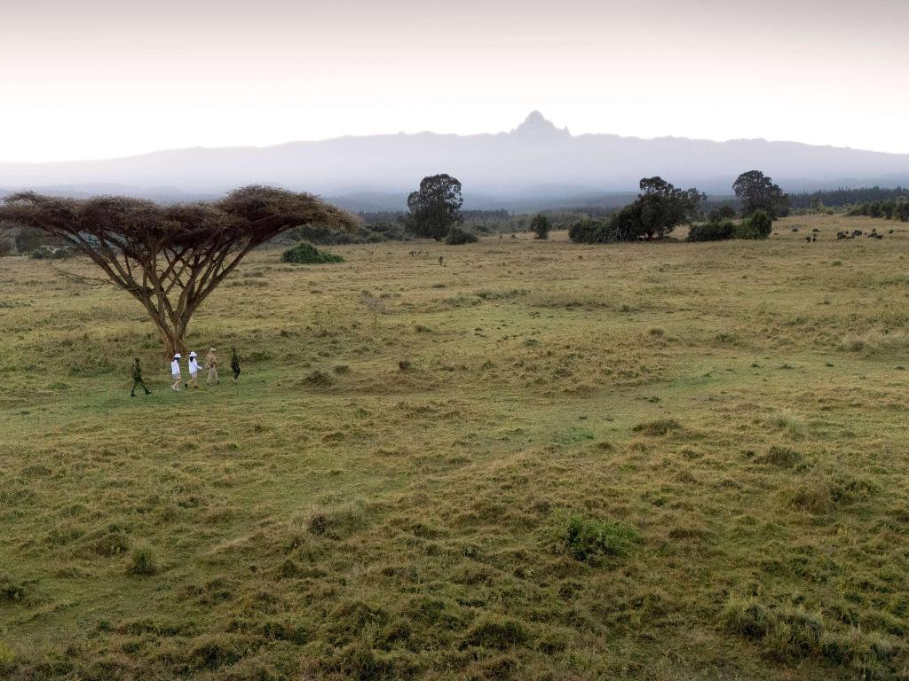 Fairmont Mount Kenya Safari Club photo 263