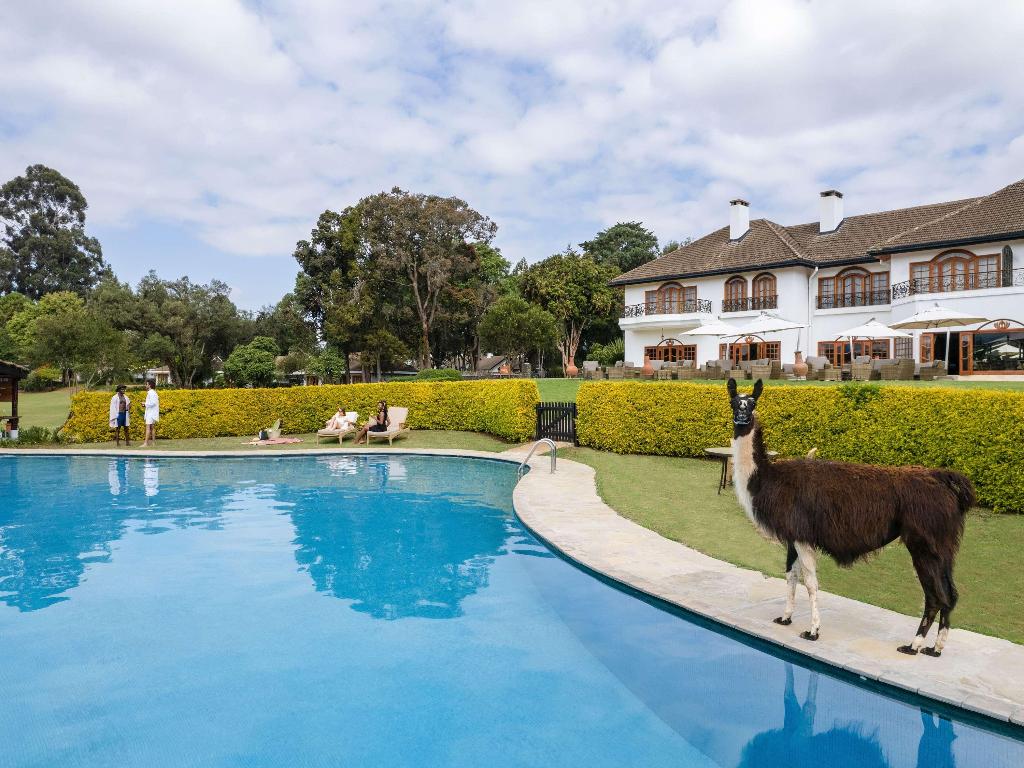 Fairmont Mount Kenya Safari Club photo 178