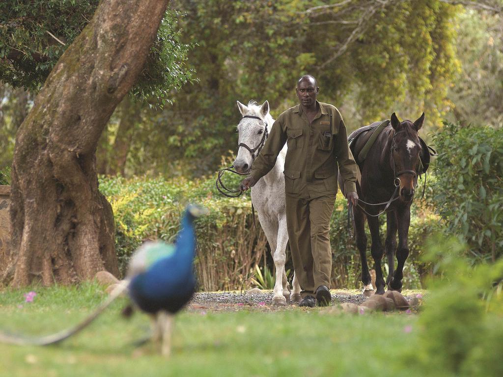 Fairmont Mount Kenya Safari Club photo 14