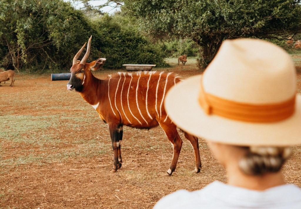 Fairmont Mount Kenya Safari Club photo 79