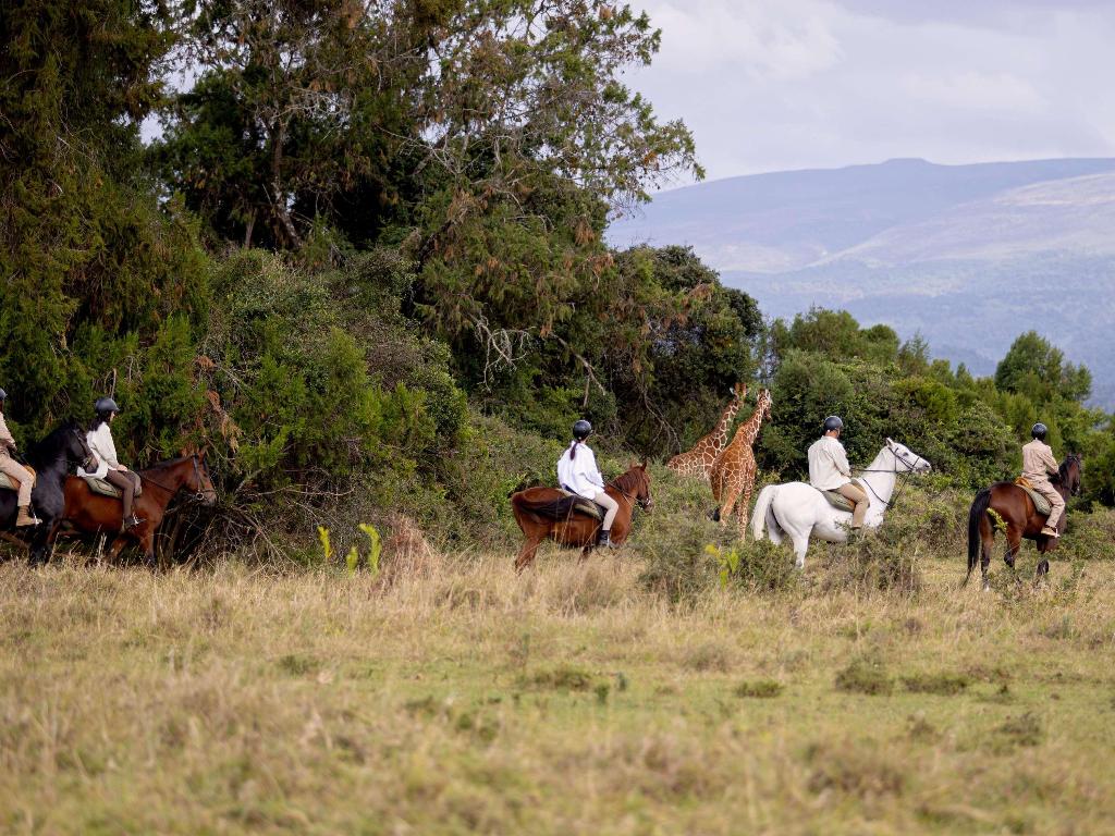 Fairmont Mount Kenya Safari Club photo 91
