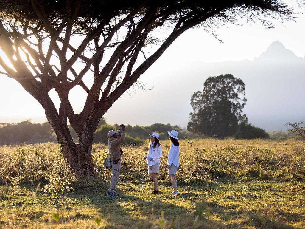 Fairmont Mount Kenya Safari Club photo 89