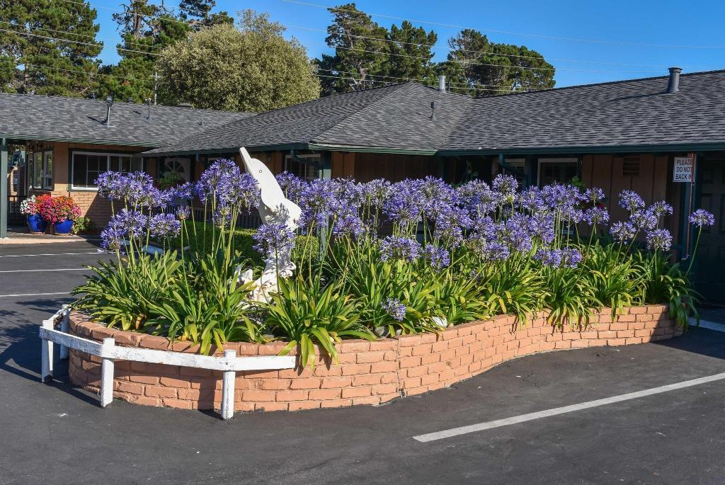 Padre Oaks Hotel