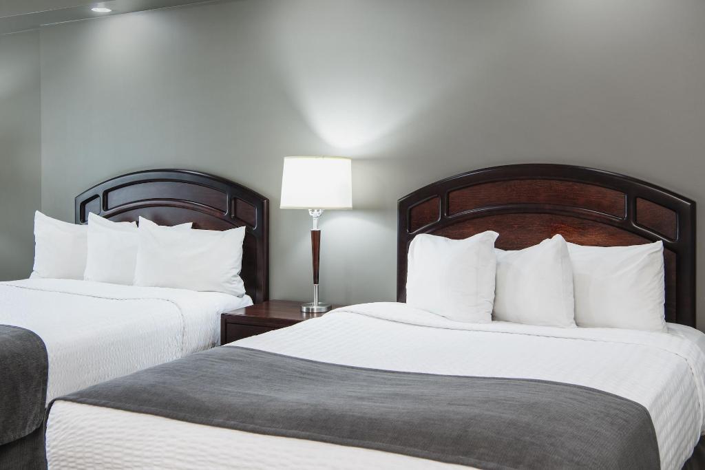 Viscount Gort Hotel photo 11