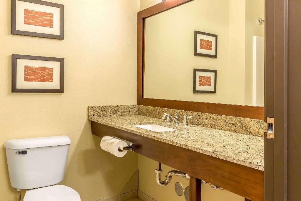 Comfort Inn & Suites Quad Cities - East Moline
