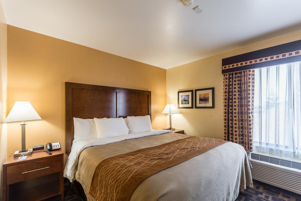 Comfort Inn and Suites North Aurora - Naperville