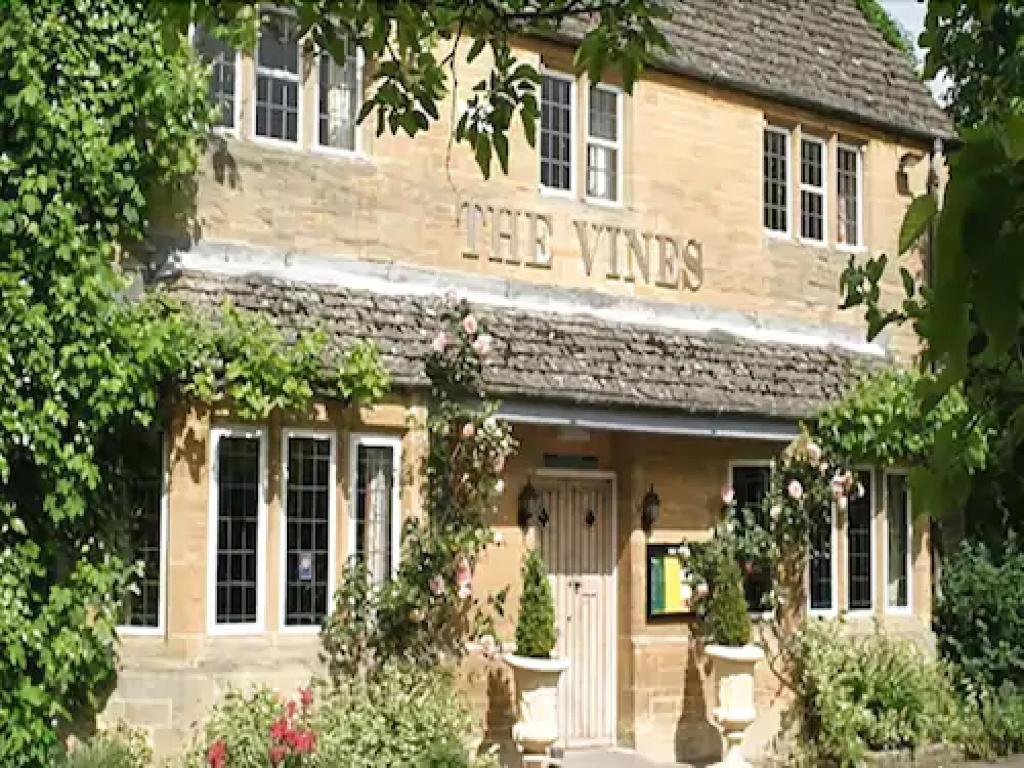 The Vines