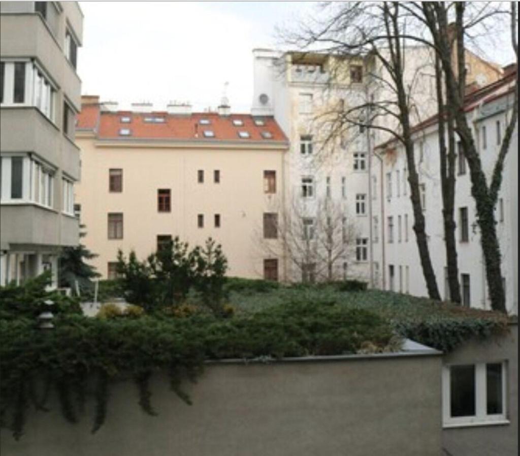 Klára