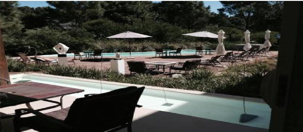 La Viuda De Jose Ignacio