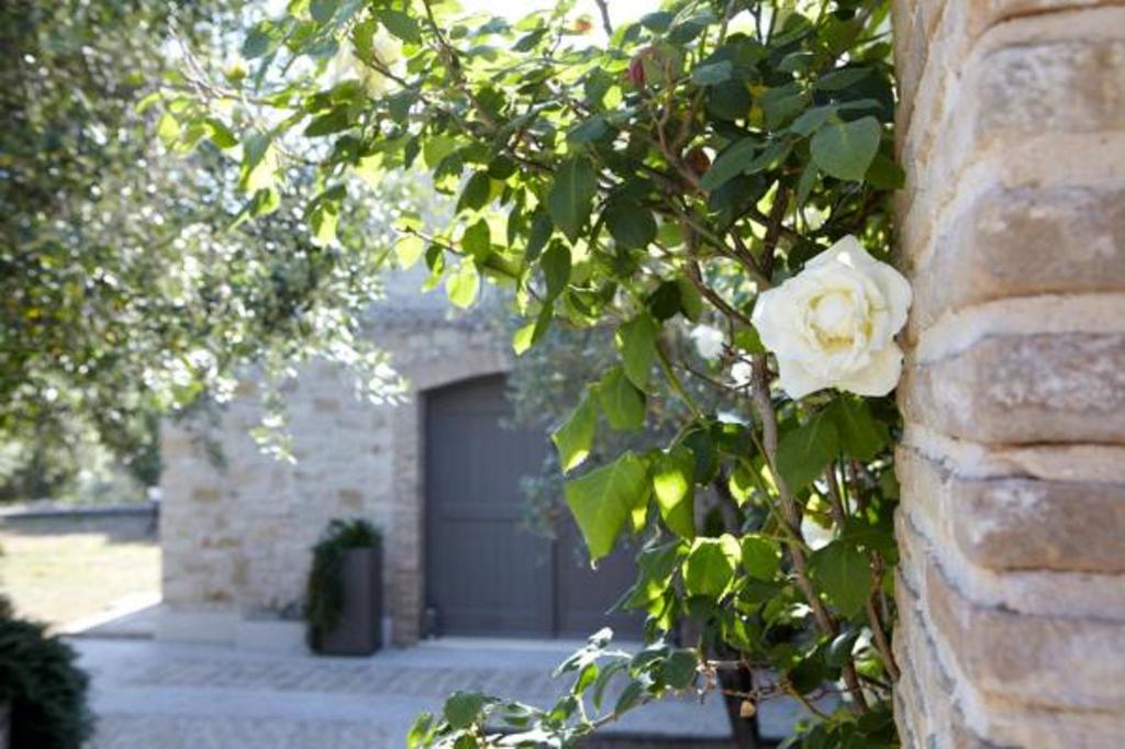 Torri E Merli Boutique Hotel