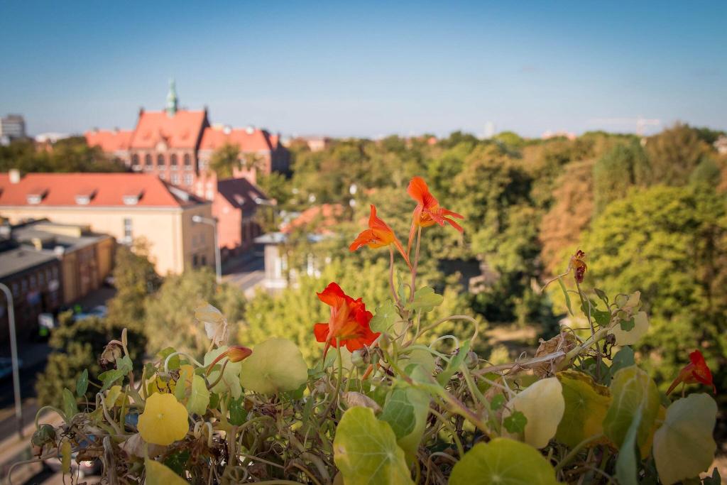 Gaja