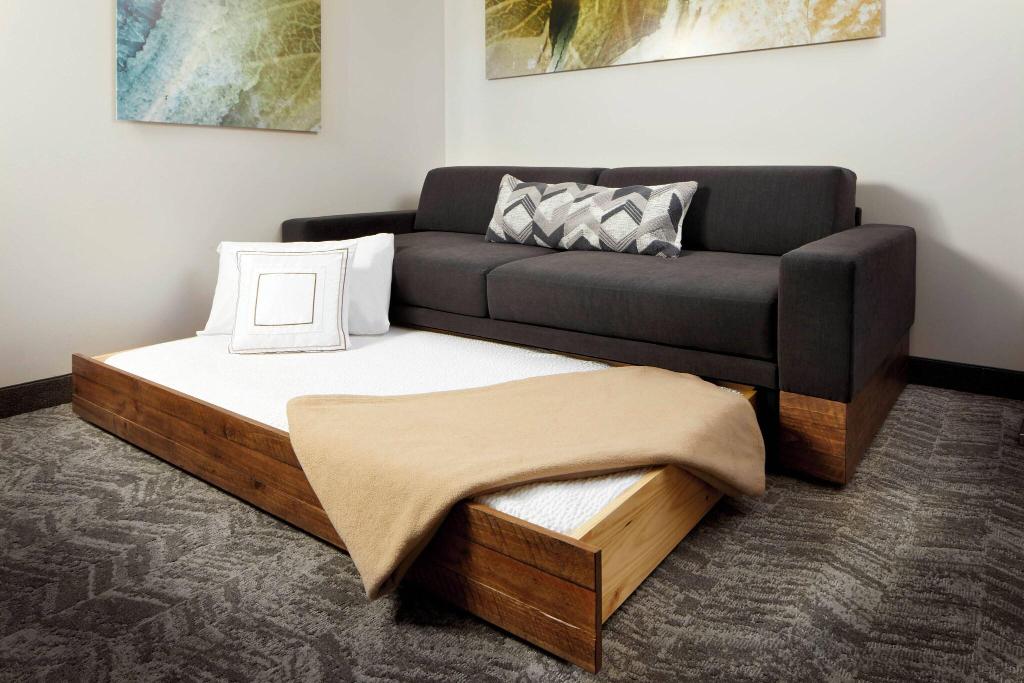 Springhill Suites By Marriott Pittsburgh Bakery Sq
