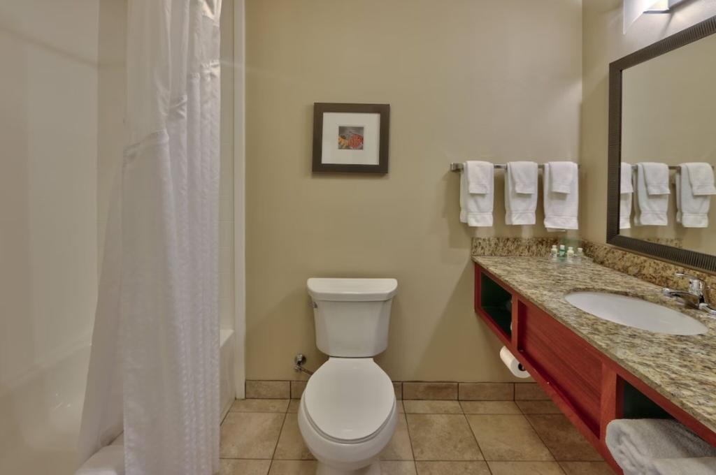 Holiday Inn Roswell