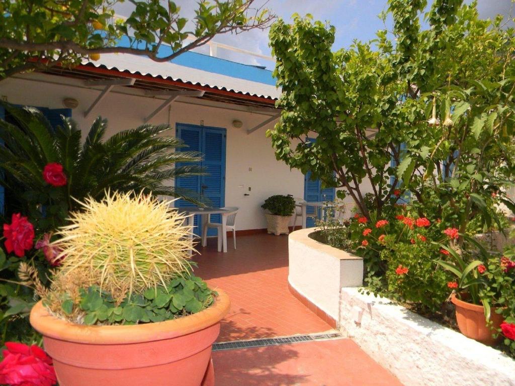 Casa Adolfo