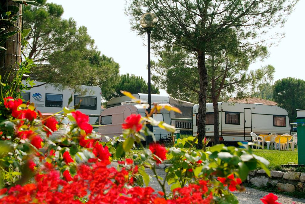 Club del Sole Le Palme Lazise Family Collection