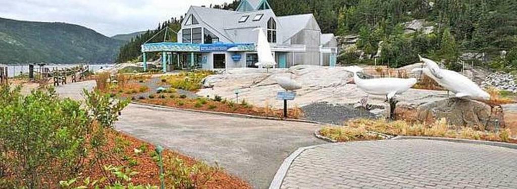 Gite au Vieux Pommier