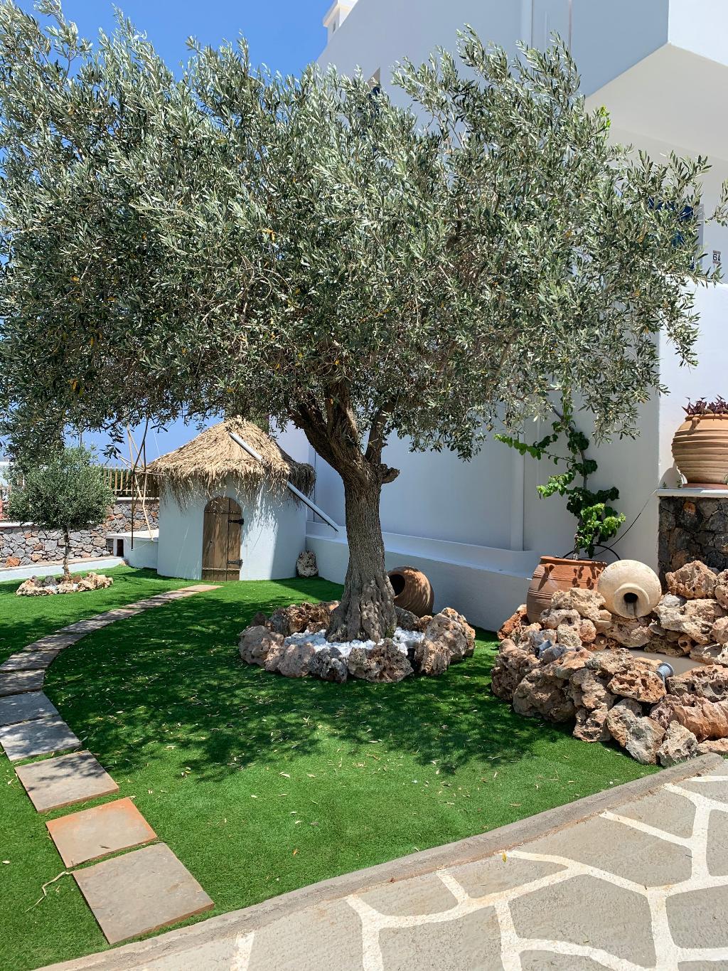 Hotel Lindian Myth Sea View Studios, Griechenland, Lindos. Großes 8