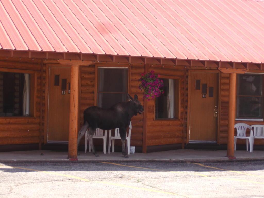 Lone Eagle Lodge And Snowmobile Rental