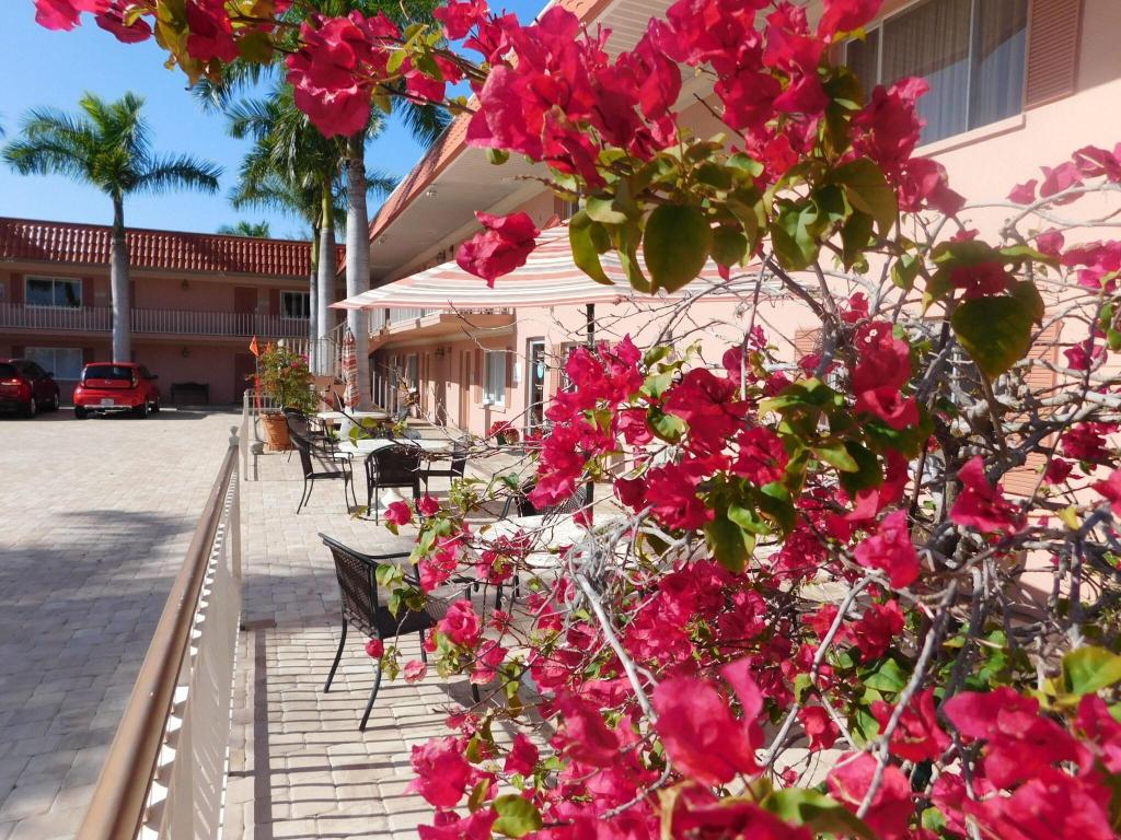Hibiscus Suites Inn