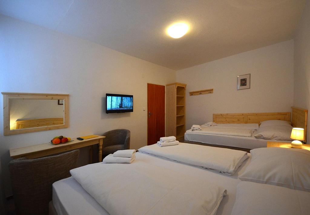 Skihotel Lenka