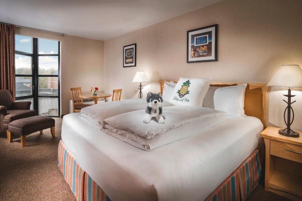 Staypineapple, University Inn, University District