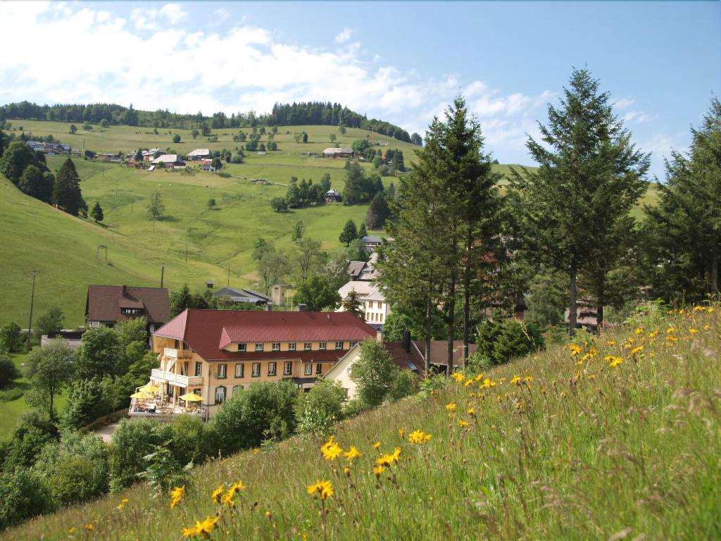 Naturparkhotel Gruner Baum