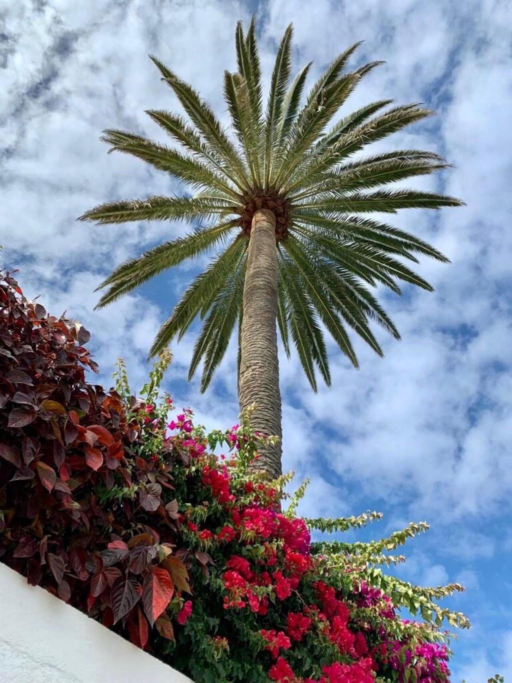 Hotel Finca Malpais Trece, Spanien, Garachico. Großes 115