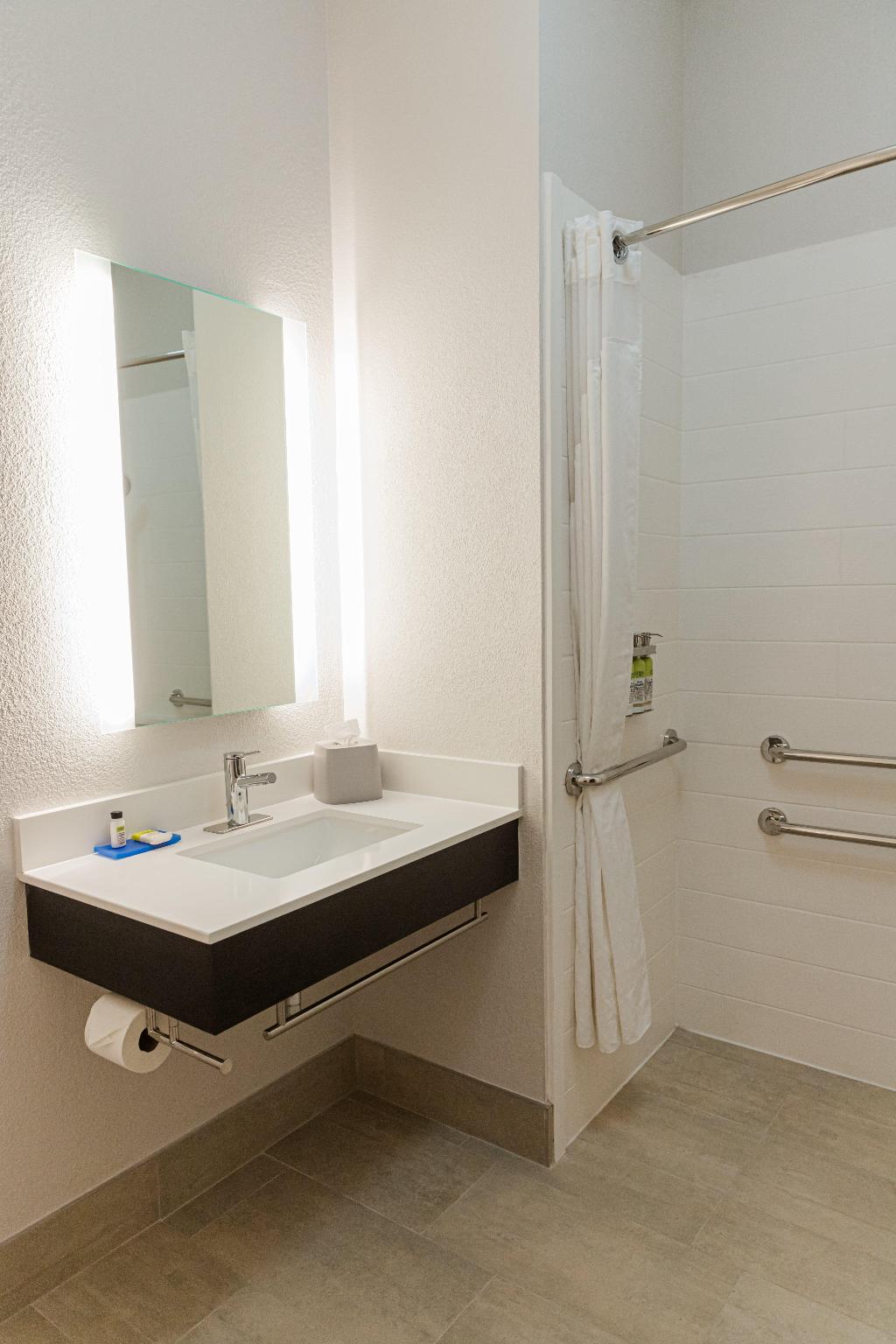 Holiday Inn Express Hotel & Suites Greenville