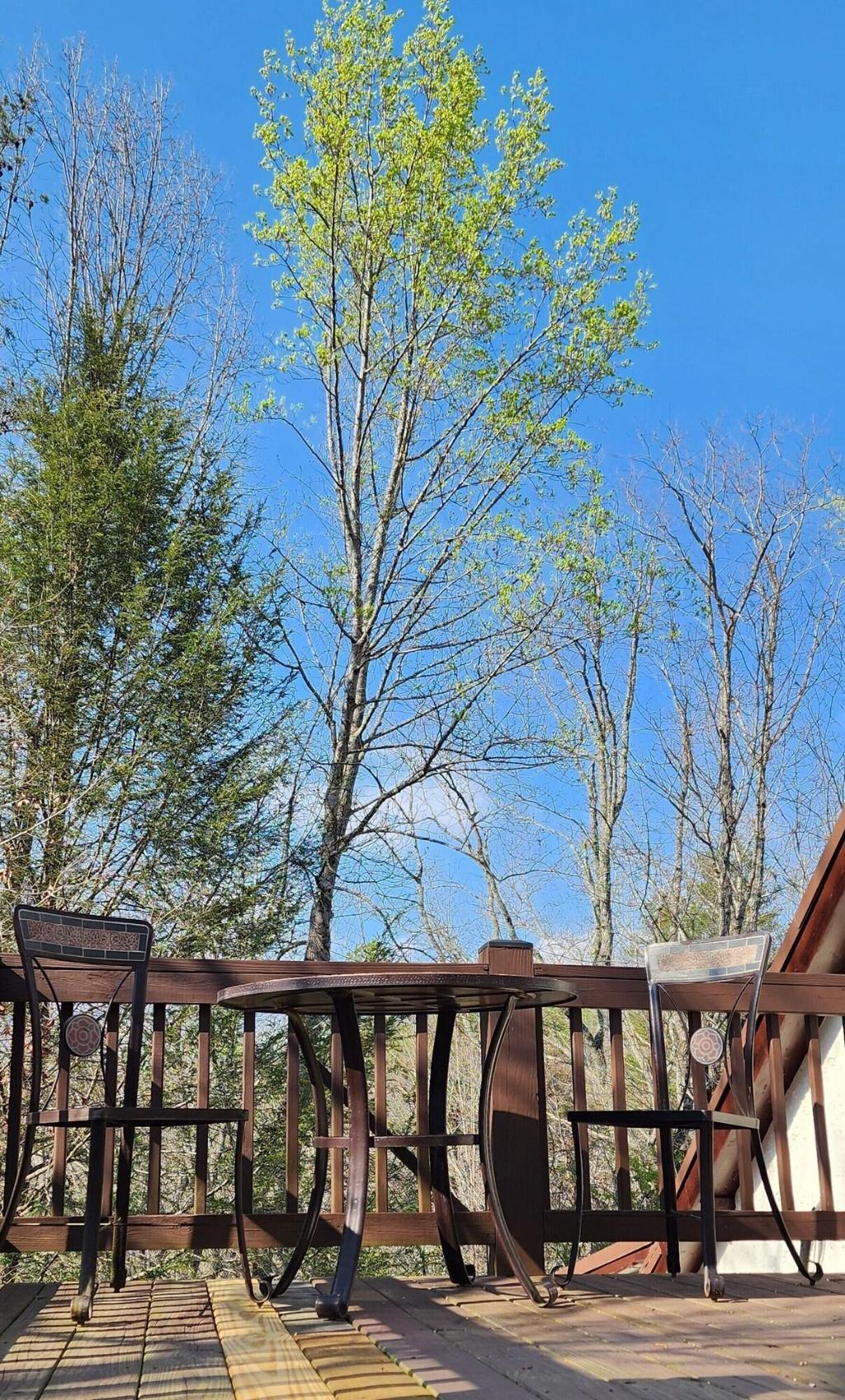 Lily Creek Lodge