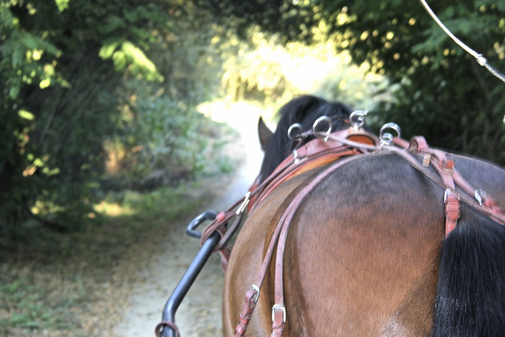Hotel Carmo's Boutique Hotel, Portugal, Ponte de Lima. Großes 1