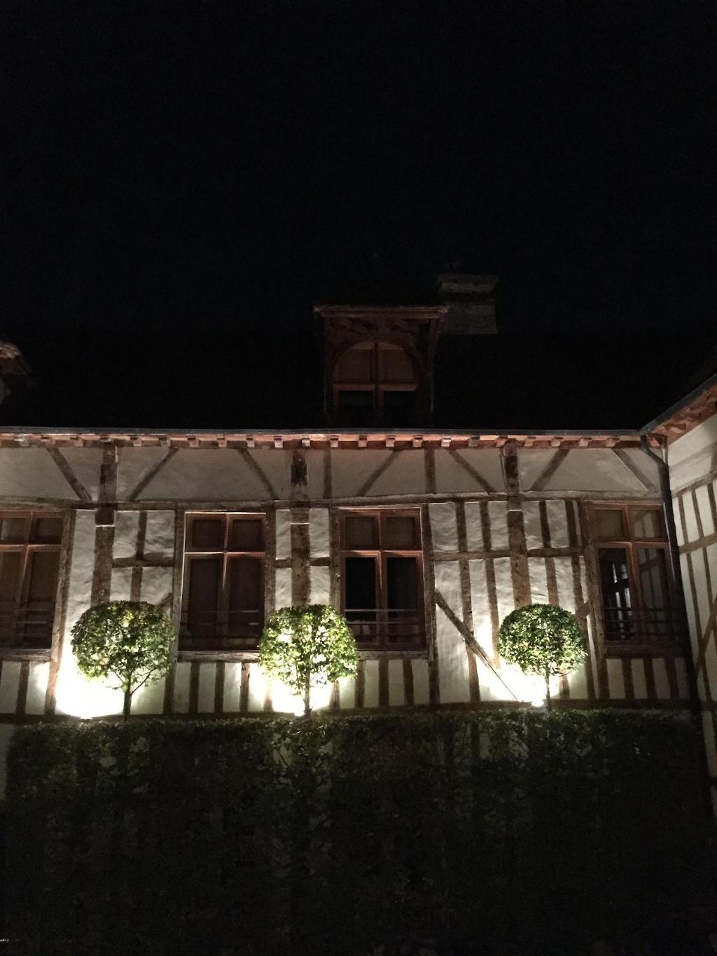 Le Champ Des Oiseaux