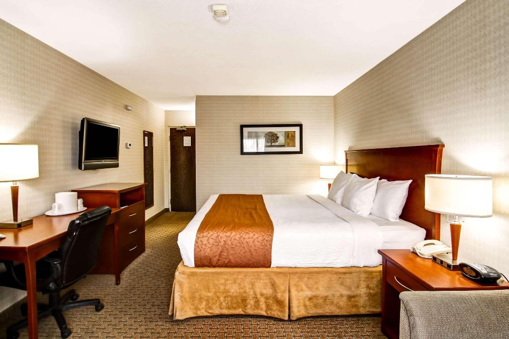 Quality Inn photo 142