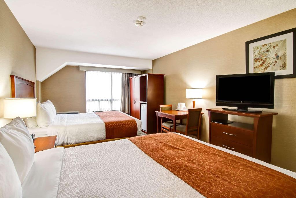 Quality Inn photo 78