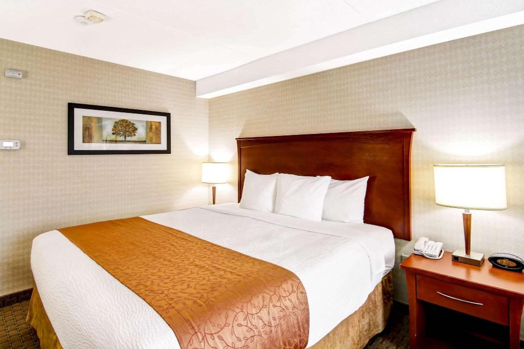 Quality Inn photo 25