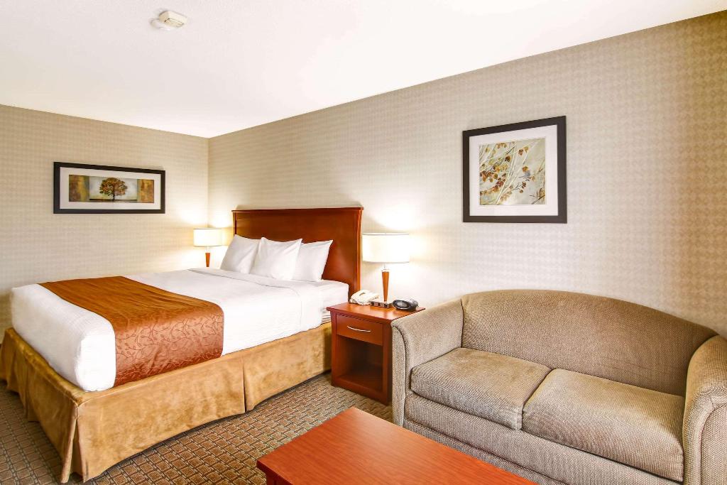 Quality Inn photo 98