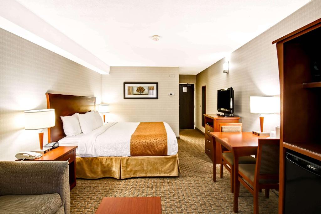 Quality Inn photo 97
