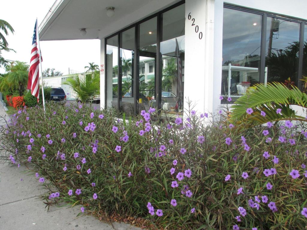 Shalimar Motel