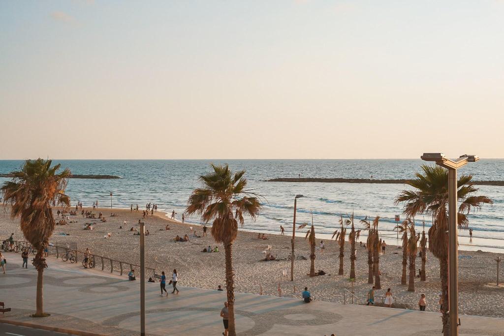 Lighthouse By Brown Hotels - Beach
