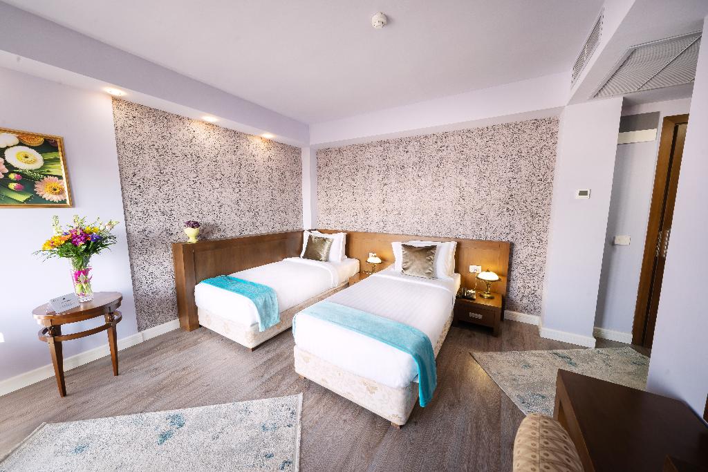 Phoenicia Comfort