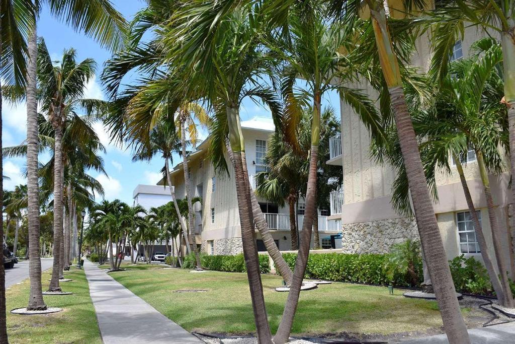 Coral Reef at Key Biscayne photo 44